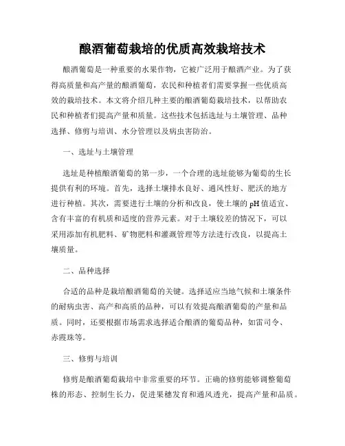 酿酒葡萄栽培的优质高效栽培技术