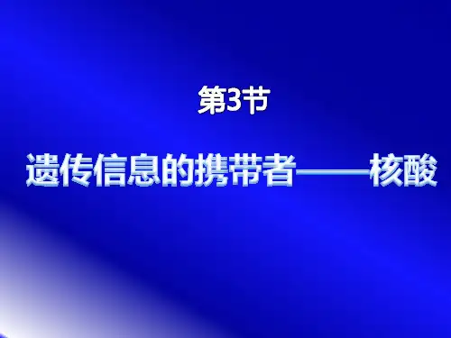 人教版高一生物必修一：2.3《遗传信息的携带者——核酸》 课件(共16张PPT)