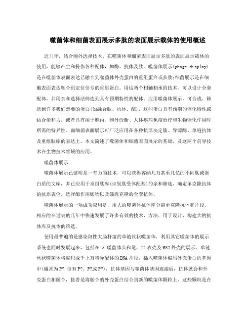 噬菌体和细菌表面展示多肽的表面展示载体的使用概述