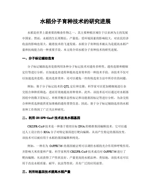 水稻分子育种技术的研究进展