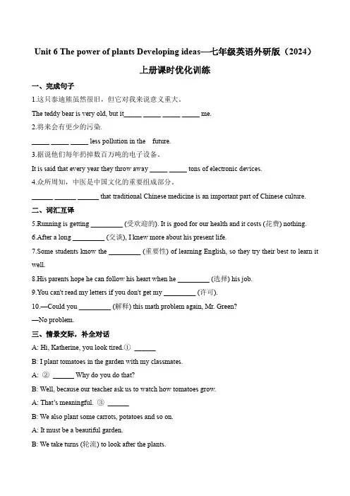 Unit 6 七年级英语外研版(2024)上册课时优化训练(含解析)