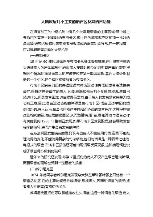 大脑皮层几个主要的语言区及其语言功能.