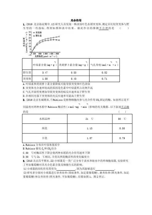 高中生物光合作用练习及答案