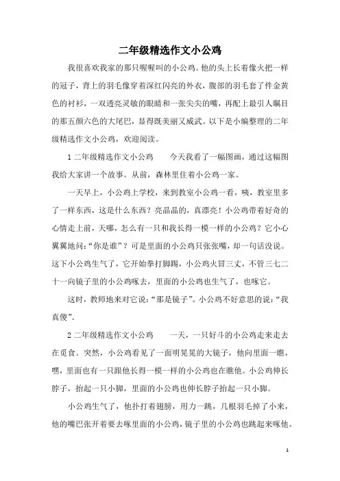 二年级精选作文小公鸡