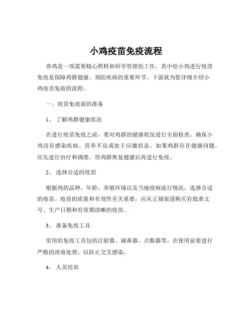 小鸡疫苗免疫流程