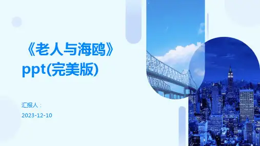 《老人与海鸥》ppt(完美版)