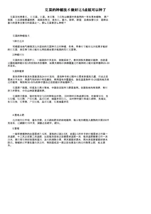 苋菜的种植技术做好这5点就可以种了