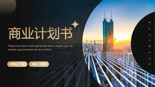 黑金商务风项目计划书PPT模板