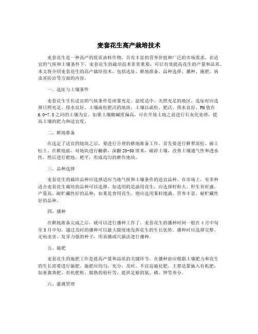 麦套花生高产栽培技术