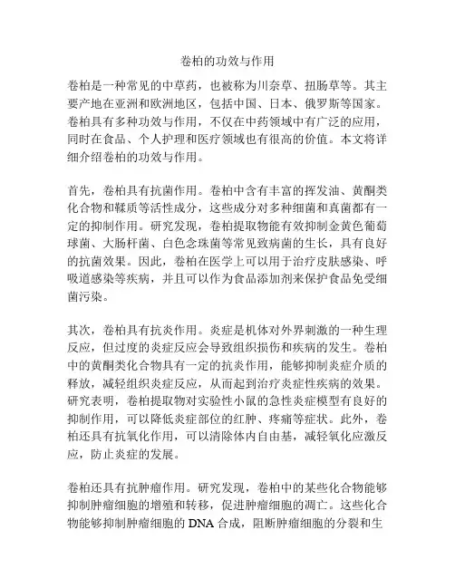 卷柏的功效与作用