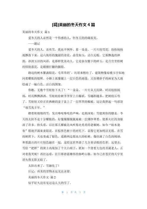 [精]美丽的冬天作文4篇