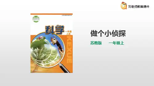 苏教版小学科学一上第三单元第7课时《做个小侦探》课件