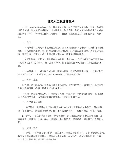 红松人工林造林技术
