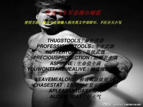 侠盗飞车罪恶都市秘籍
