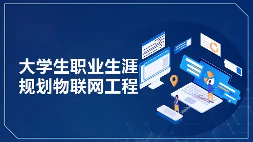 大学生职业生涯规划物联网工程