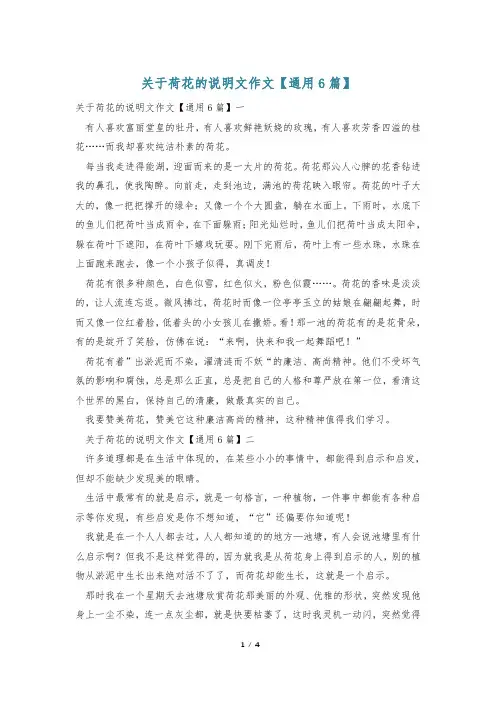 关于荷花的说明文作文【通用6篇】