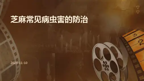 芝麻常见病虫害的防治