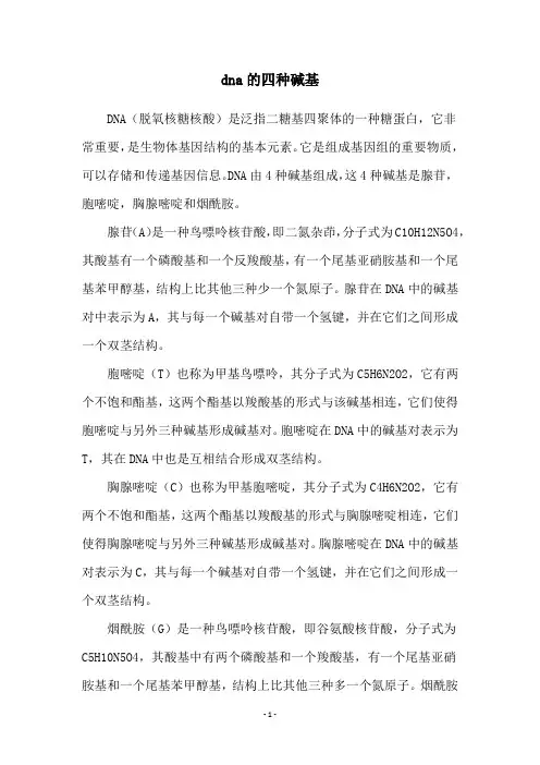 dna的四种碱基