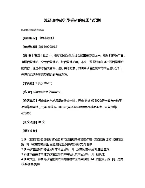 浅谈滇中砂岩型铜矿的成因与识别