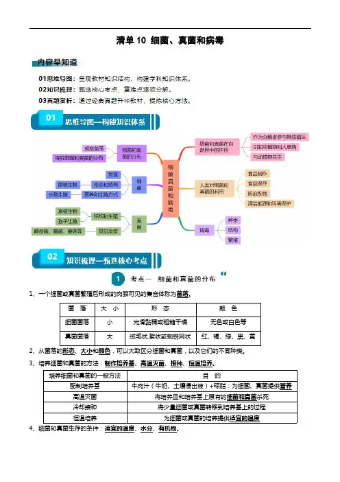 中考生物复习基础知识清单(全国)清单10 细菌、真菌和病毒
