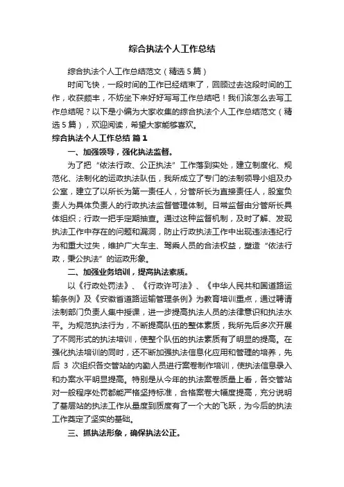 综合执法个人工作总结范文（精选5篇）