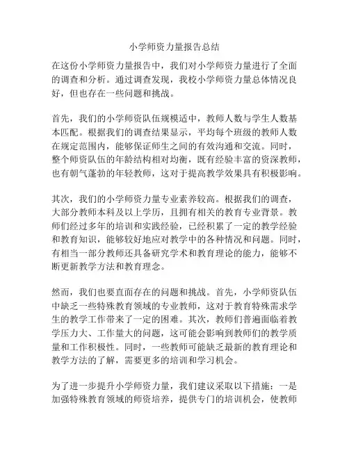 小学师资力量报告总结