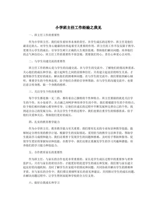小学班主任工作经验之我见