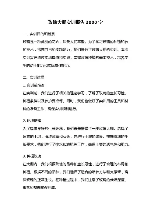 玫瑰大棚实训报告3000字