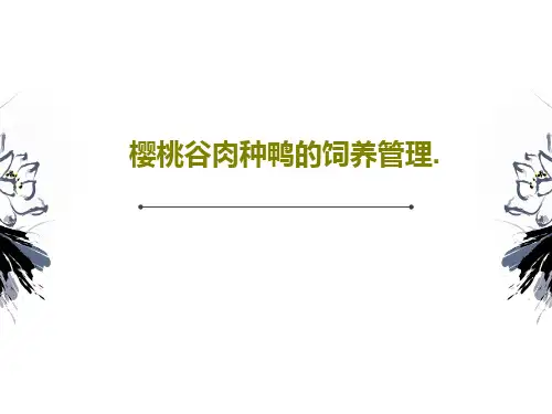 樱桃谷肉种鸭的饲养管理.共86页文档