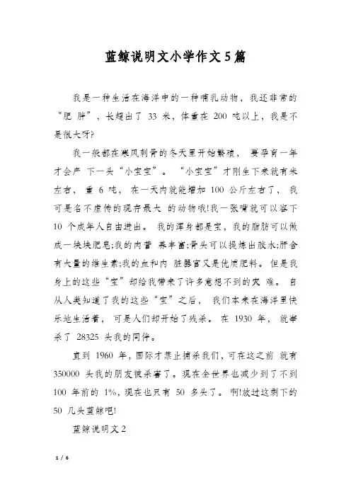 蓝鲸说明文小学作文5篇