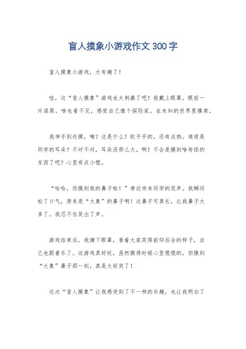 盲人摸象小游戏作文300字
