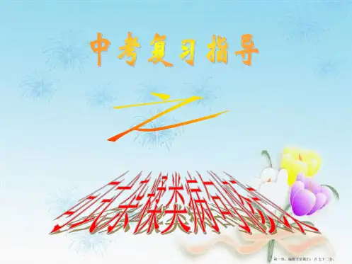 中考专题复习病句修改之句式杂糅