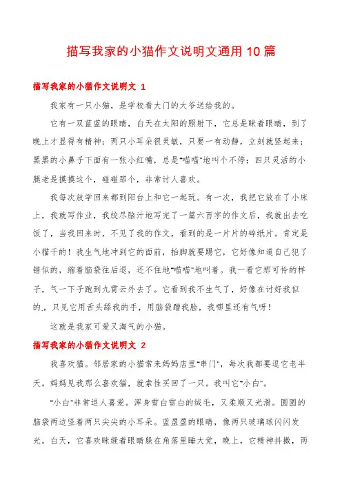 描写我家的小猫作文说明文通用10篇