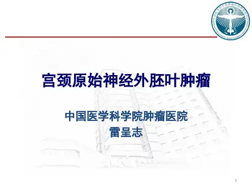 卵巢恶性肿瘤的手术治疗PPT课件