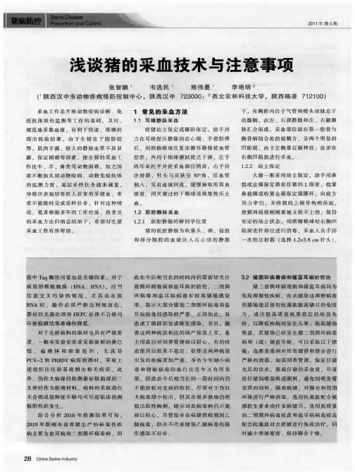 浅谈猪的采血技术与注意事项