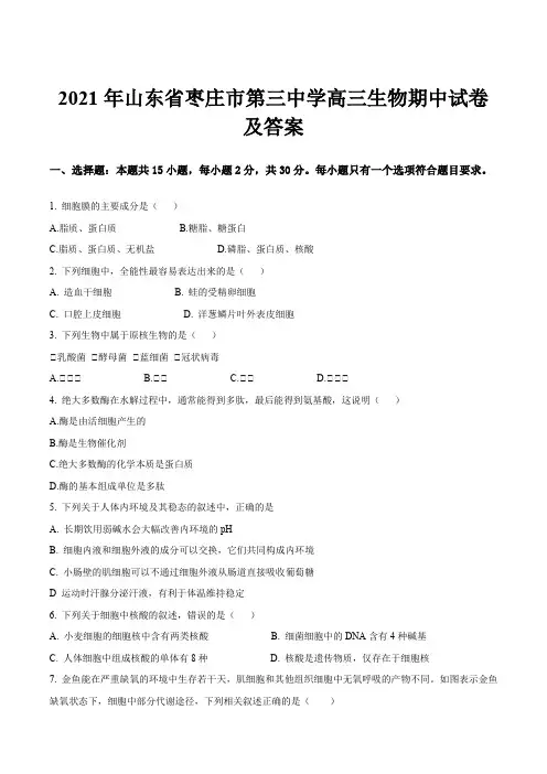 2021年山东省枣庄市第三中学高三生物期中试卷及答案