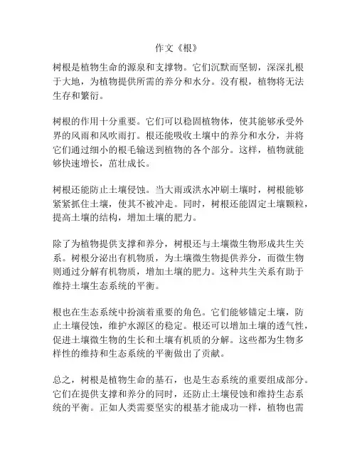 作文《根》