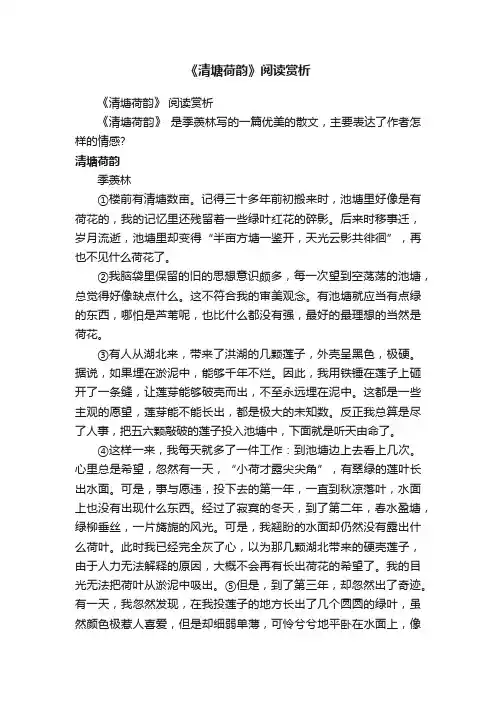 《清塘荷韵》阅读赏析
