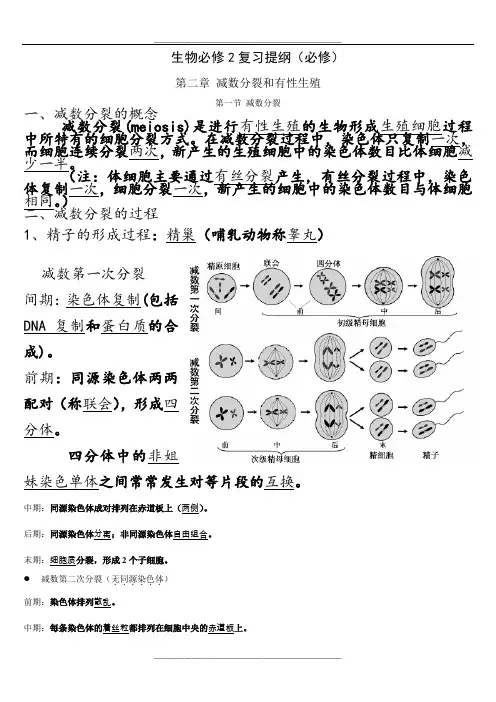 苏教版高中生物必修二