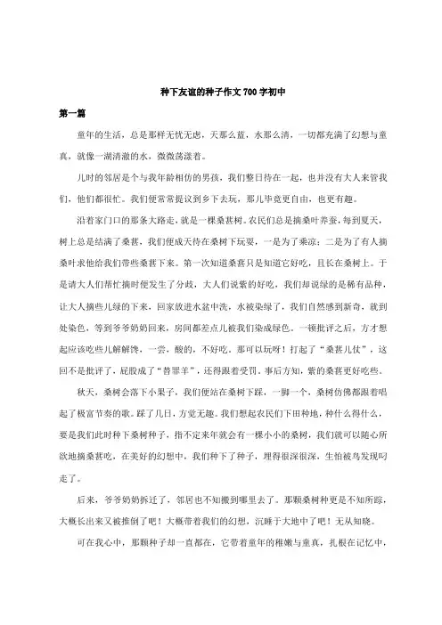 种下友谊的种子作文700字初中