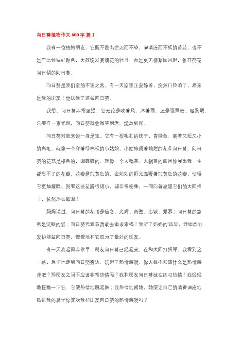 中考作文600字向日葵