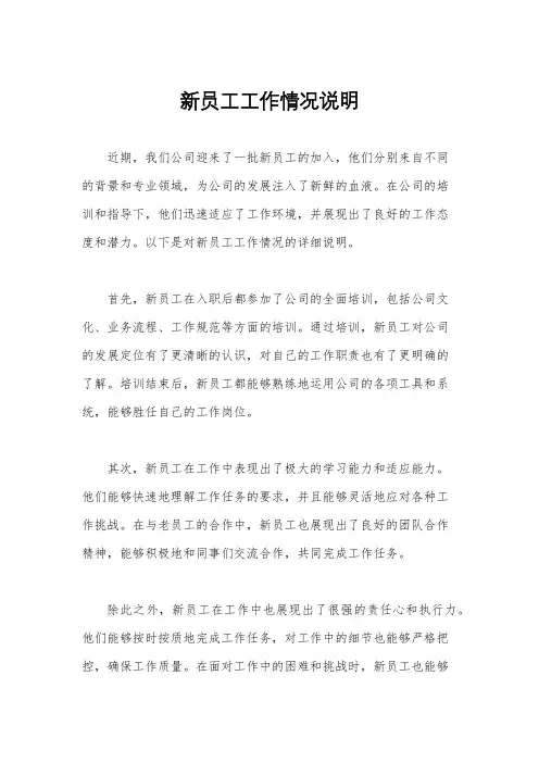 新员工工作情况说明