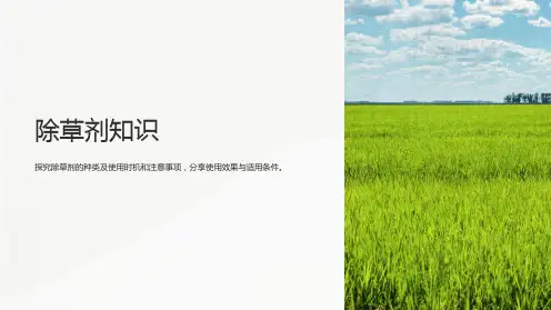 《除草剂知识》课件