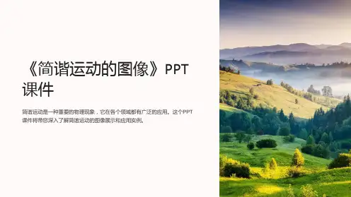 《简谐运动的图像》课件