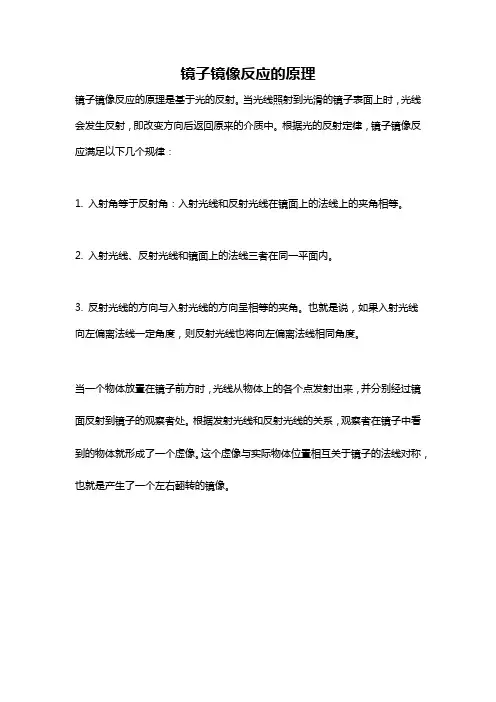 镜子镜像反应的原理