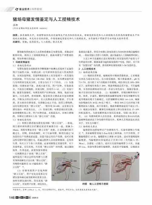 猪场母猪发情鉴定与人工授精技术