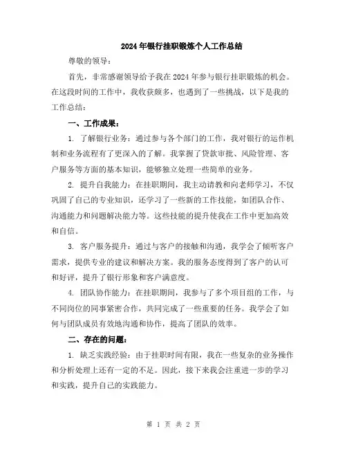 2024年银行挂职锻炼个人工作总结