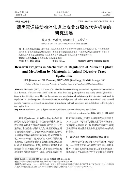 褪黑素调控动物消化道上皮养分吸收代谢机制的研究进展
