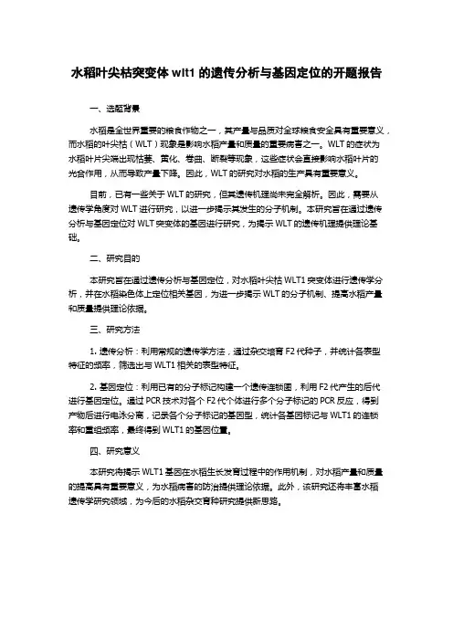水稻叶尖枯突变体wlt1的遗传分析与基因定位的开题报告