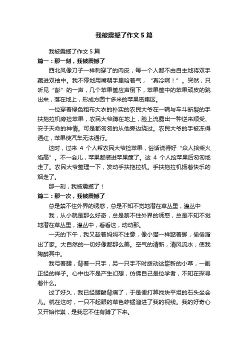 我被震撼了作文5篇